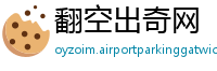 翻空出奇网